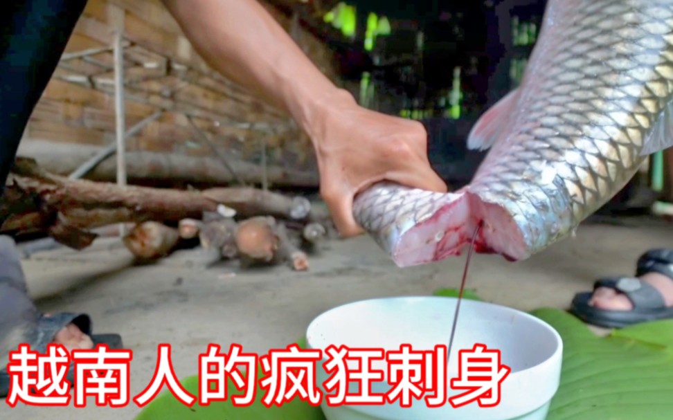 越南人对鱼生的喜爱，连广西老表也望尘莫及！这种吃法是真生猛！