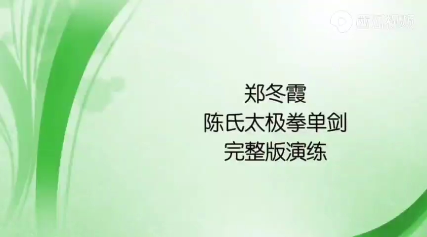 郑冬霞太极单剑2023-4-43