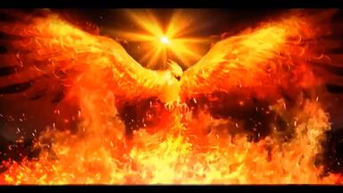 九离紫<em class="keyword">火凤凰</em>注能 助您涅槃重生 突破所有枷锁与阻碍