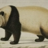纪录片.PBS.大熊猫的起源.2019[高清][英字]