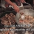 世界人文地理-东南亚风情-吃厨余垃圾的穷人-贫困问题中文字幕