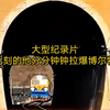 大型《此刻的他分分钟钟拉爆博尔特》持续为您播出