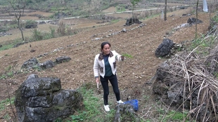 四个孩子的妈妈吃烧烤在室外 7094e9b8a13e039da0cc3038c13b35e312878675.jpg@310w_174h_1c_100q.jpg