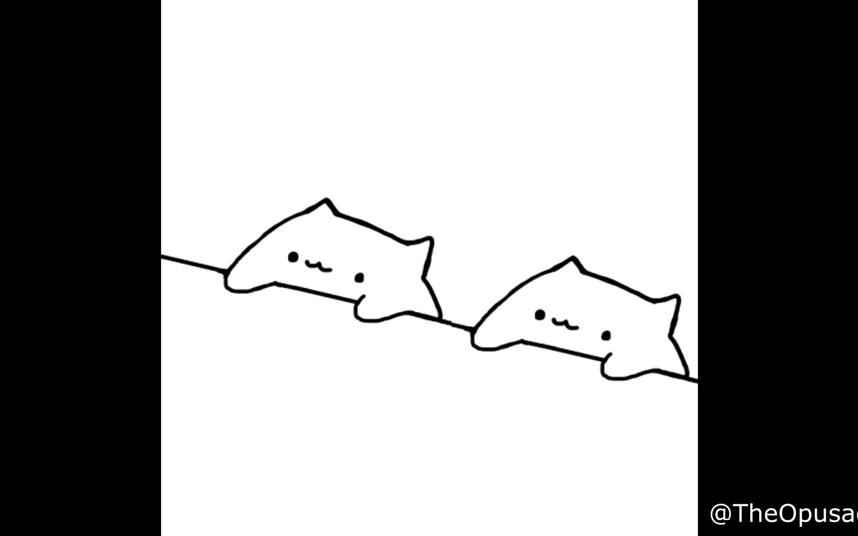 bongo cat