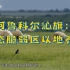 【地理素材】生态脆弱区以地养地：阿鲁科尔沁旗种植优质牧草