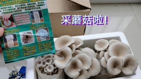 70c686b97746431530b558f643e8c884f23b1ea9.png@280w_158h_1c_100q.jpg