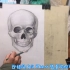 素描头骨画法教程视频