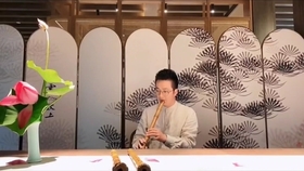 付娜女儿情古筝曲谱_付娜一帘幽梦古筝曲谱(5)