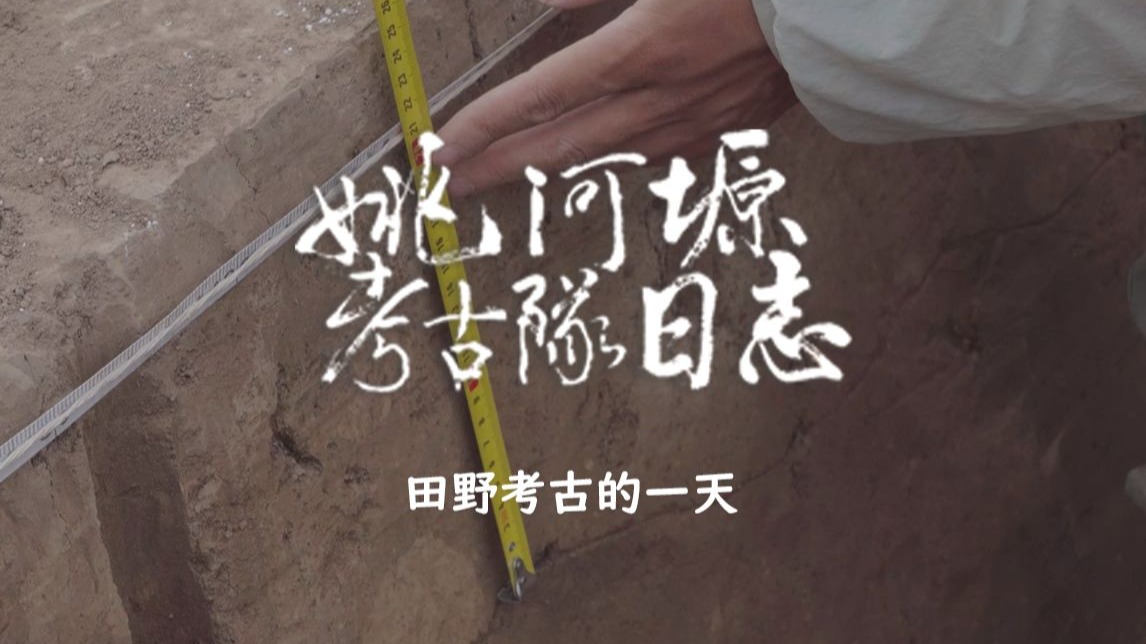 姚河塬考古队日志 𝐯𝐨𝐥.𝟗𝟔|田野考古的一天
