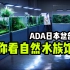 [中文]带你走访自然水族馆 日本ADA总部