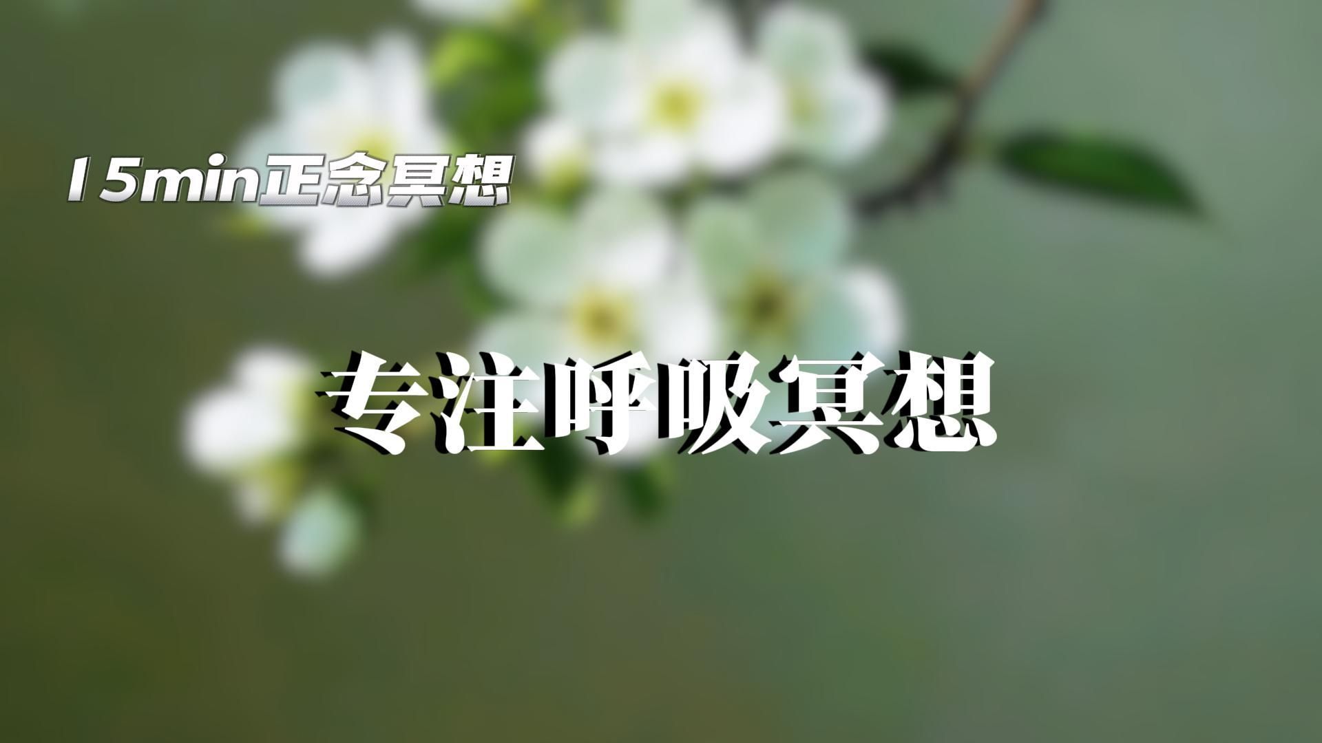 15 分钟正念冥想：专注呼吸，回归纯粹的当下