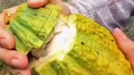 水果的正确吃法，学会剥给家人吃