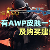 【CSGO】所有AWP皮肤一览及购买建议_游戏热门视频