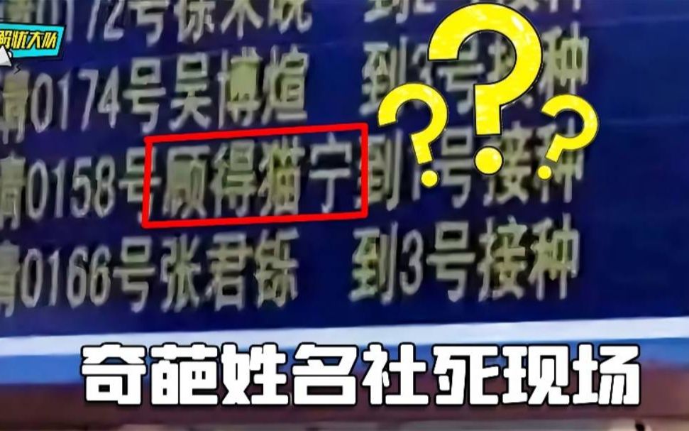 奇葩名字社死现场，爸妈起名字是怎么想的？