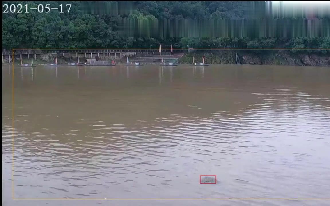 智慧水利-水面漂浮物识别系统