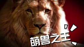 71c450db92820c348d6b62efcf28b62f699e40f0.jpg@280w_158h_1c_100q.jpg