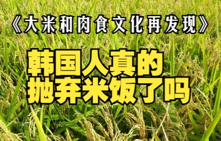 《文化,大米和肉食》韩国人真的抛弃米饭了吗?哔哩哔哩bilibili