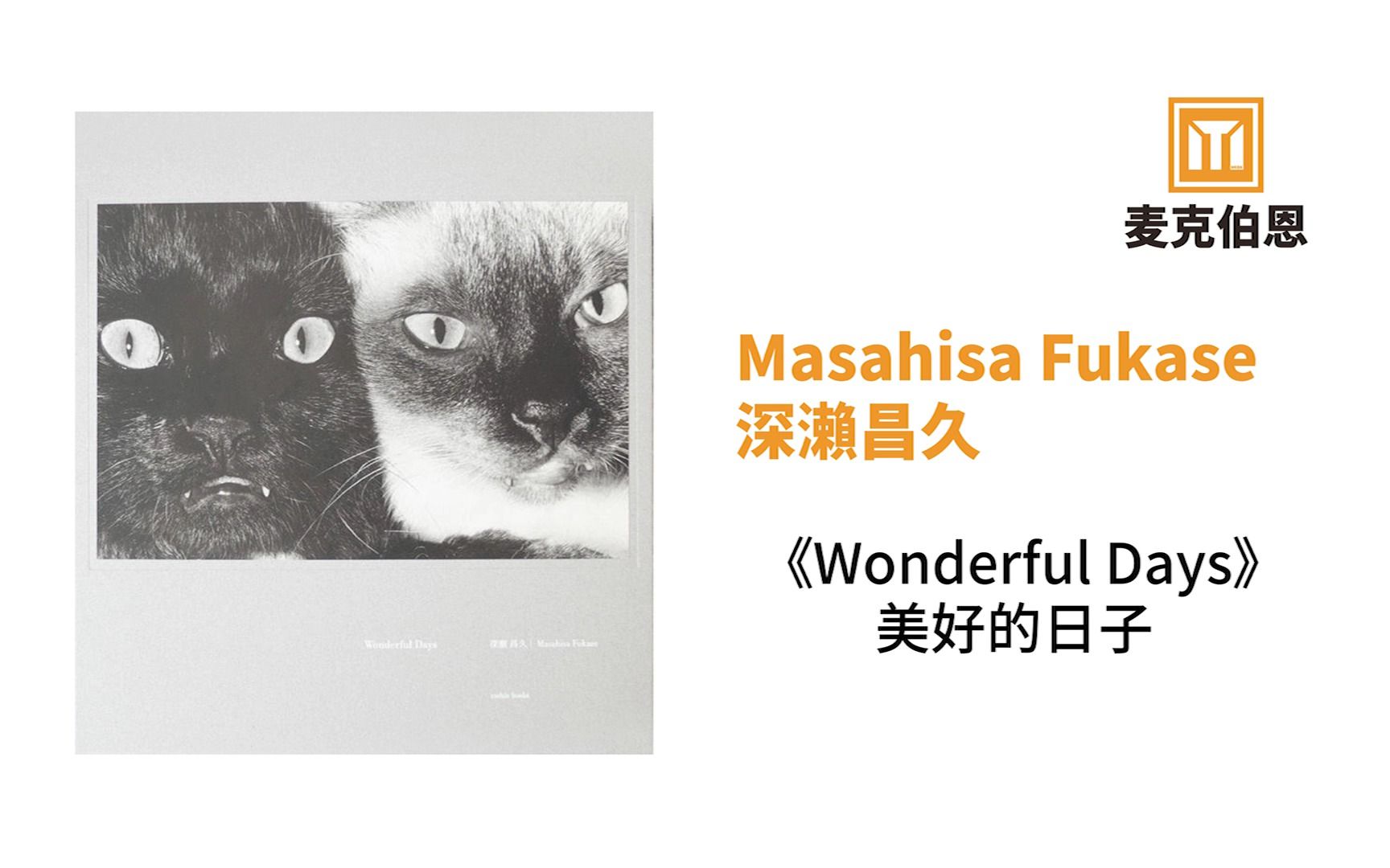 最高の品質 深瀬昌久 深瀬昌久 Days Wonderful Wonderful Days