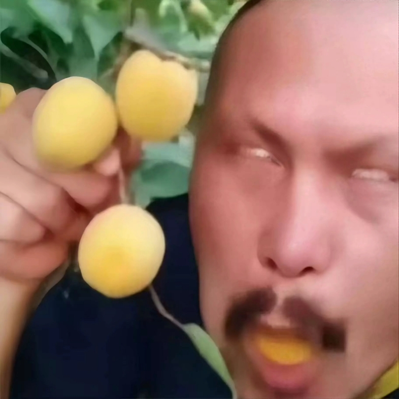 最新视频来袭，快来看看吧！