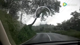 世界上三大诡异事件 71ee7032dc1aed73947fb50088814fddedaf67a0.jpg@280w_158h_1c_100q.jpg