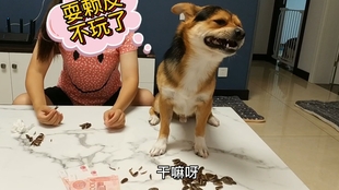 71f2d4aee00575ae4fc468eefcfeec9a044fb3ac.jpg@310w_174h_1c_100q.jpg