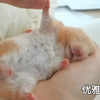 笑死，我妈说“它好像你啊