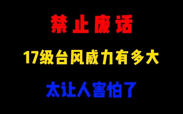 省流:17级台风威力有多大哔哩哔哩bilibili