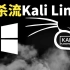 2022年Kali渗透教程/网络安全/kali/Linux/黑客/web安全/信息安全/白帽黑客