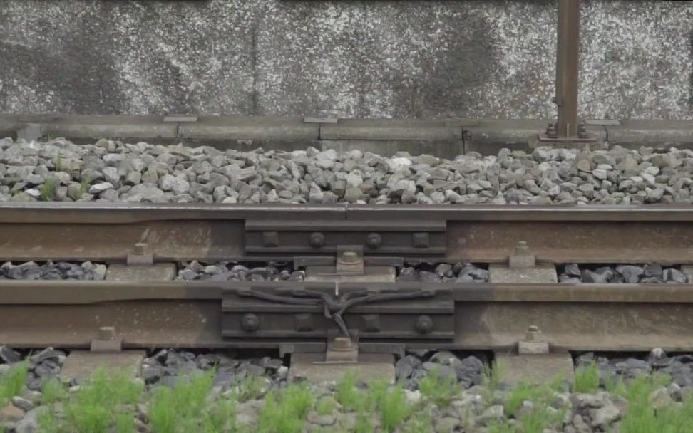 【NHK】思考的乌鸦