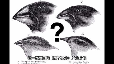 7238945ee6a55e19ee4b0c3161bf29db64a22f8e.jpg@480w_270h_1c