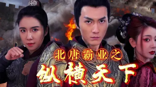 纵横天下 全集