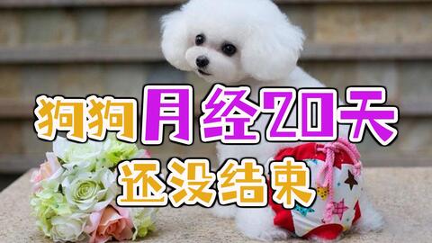 726e6ef253778a30002e6f6605e5f0086e945413.jpg@480w_270h_1c