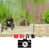 【瞎拍合集】自制尼康机内曲线预设JPEG直出 尼康Zfc