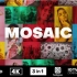 AE模板-马赛克式照片墙LOGO展示 Mosaic Fast Intro（3730）