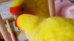 728c70dbc459a0d1de5762dd2a5e6df3afbb716f.jpg@280w_158h_1c_100q.jpg