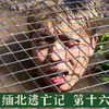 缅北逃亡记 第十六集