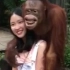 你见过如此好色的猩猩吗？(ಡωಡ)hiahiahia