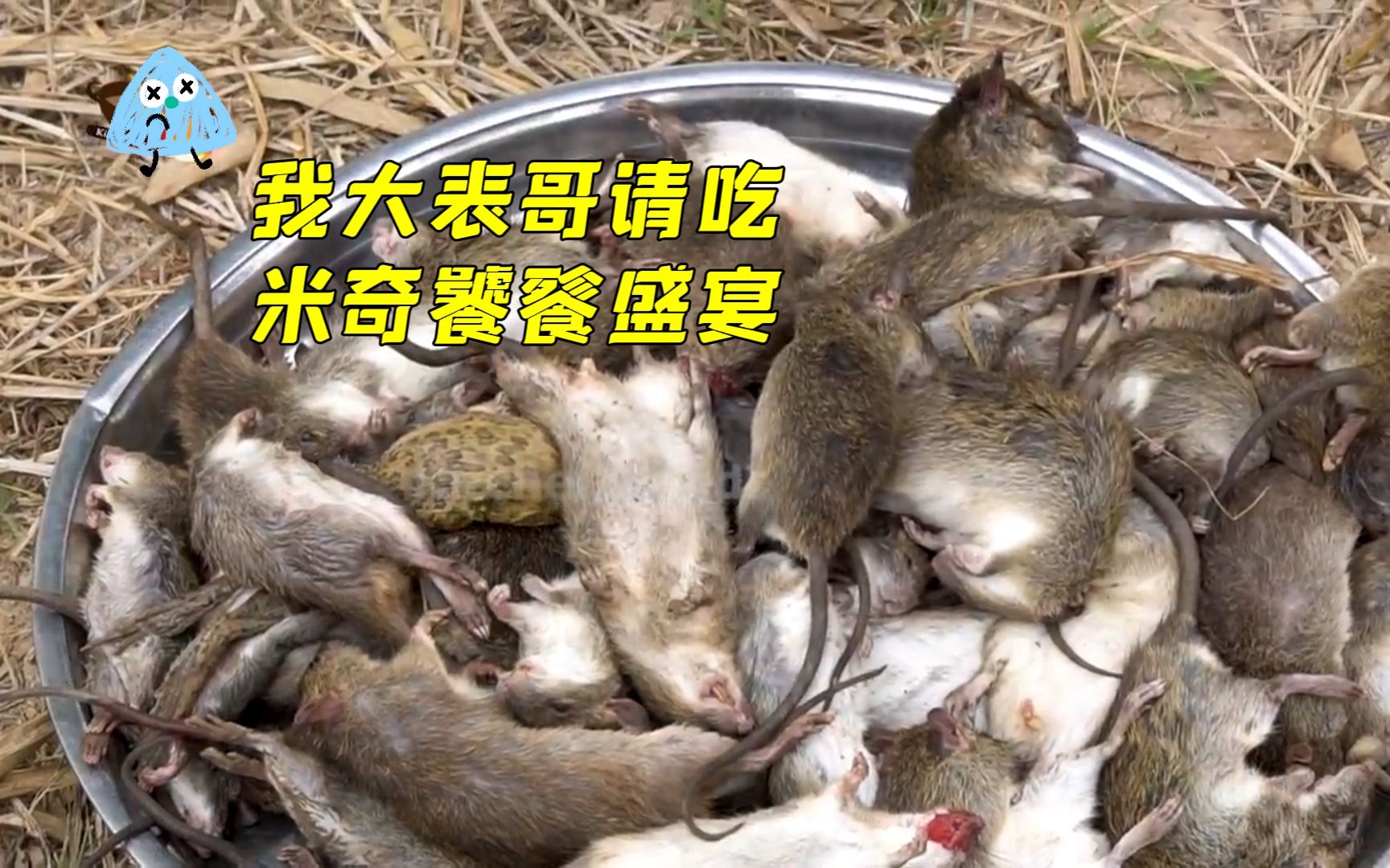 越南人口味真重，荒野美食炸老鼠，胆小误入