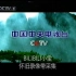 【录像带首发】2003年CCTV-1频道宣传片