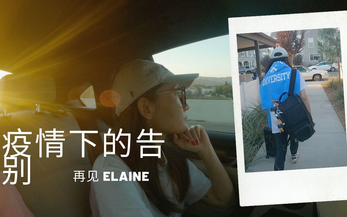 再见 Elaine ! 疫情下的告别  Goodbye elaine, farewell under the epidemic.哔哩哔哩bilibili