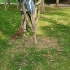树木施肥方法