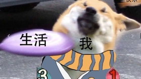 7305e408d2e318e871067ff1f8de0c41d42feb5a.jpg@280w_158h_1c_100q.jpg