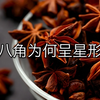 八角不是茴香：厨房里的“星星”如何撑起抗病毒防线