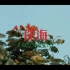 《浪漫城市》 够青春GO拍享——美好香洲短视频创作挑战赛复赛作品
