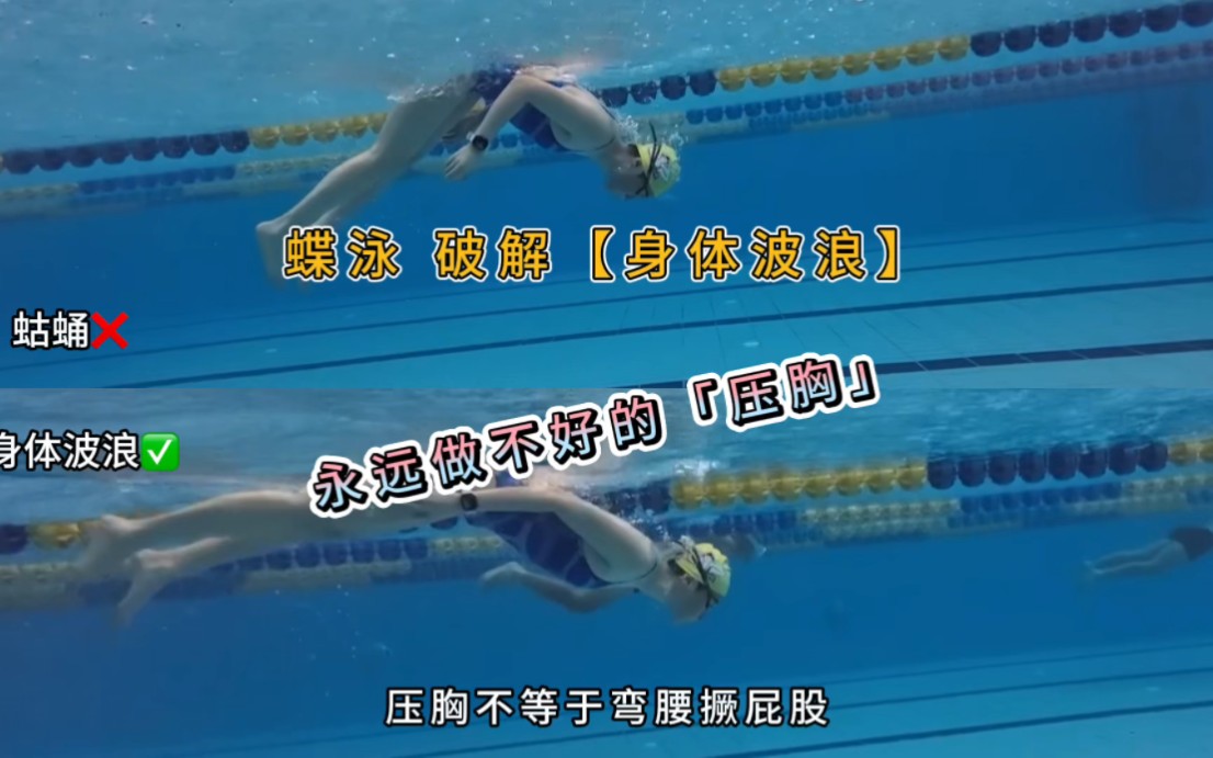 蝶泳破解【身体波浪】永远做不好的【压胸】