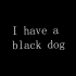 《I have a black dog》