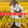 【超长VIP爽文】穿越修仙界当农民？对不起我以前就是种田的