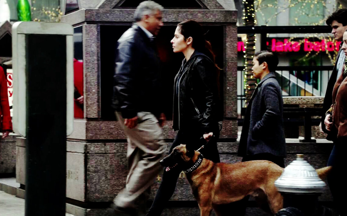 【poi/疑犯追踪】【锤个人向】后会无期—sameen shaw