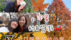 734396d9ffebcdaca199a45f6f160707ce4ce262.jpg@280w_158h_1c_100q.jpg