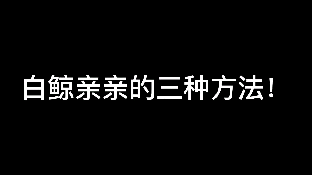 白鲸亲亲的三种方法哔哩哔哩bilibili